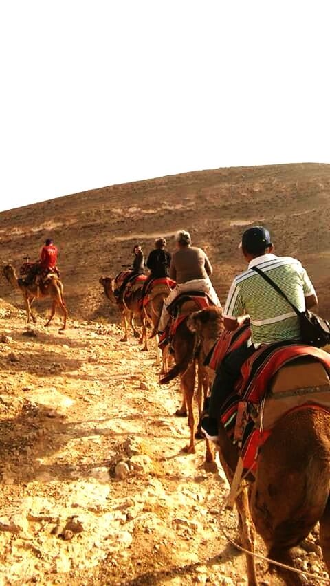 PEOPLE RIDING HORSE CART ON DESERT