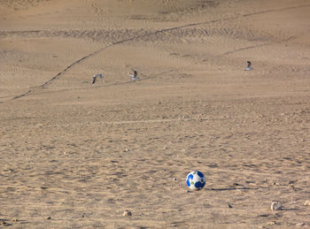 High angle view of people on sand at beach