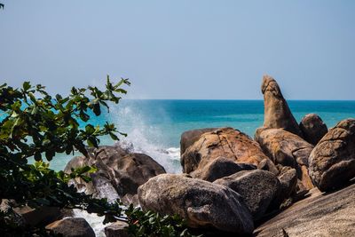 Scenic view of sea against clear sky