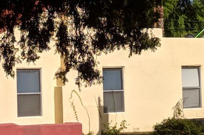 Tree by building against sky