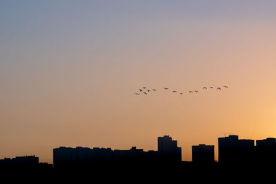 Silhouette of birds flying in sky during sunset