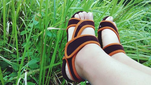 Low section of person wearing sandals sitting on grassy field