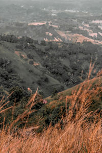High angle view of landscape