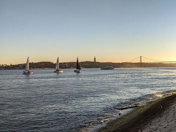 Sailboats in sea against clear sky