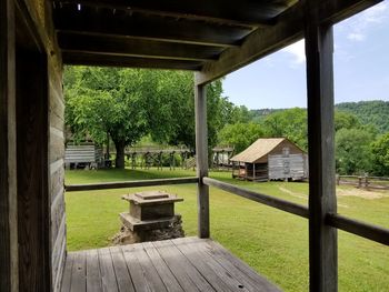 Trees and plants on field seen through wooden house