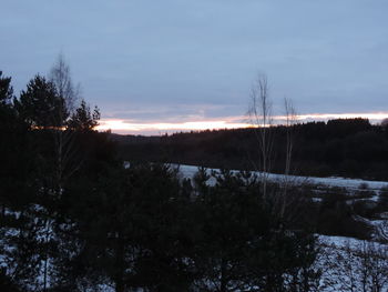 Scenic view of forest against sky during winter