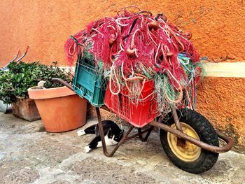 Bicycle parked against pink wall