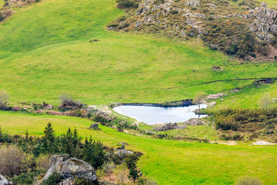 Scenic view of river passing through field