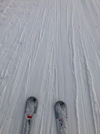 Low section of person on snow covered land