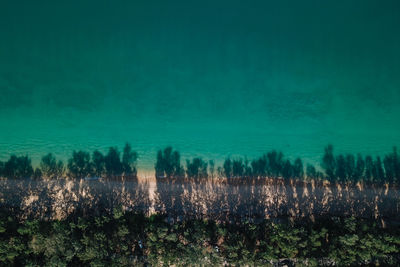 High angle view of trees shadow at beach