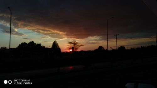 Silhouette trees against sky seen through car windshield