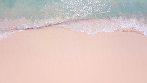 High angle view of dentures over coral background