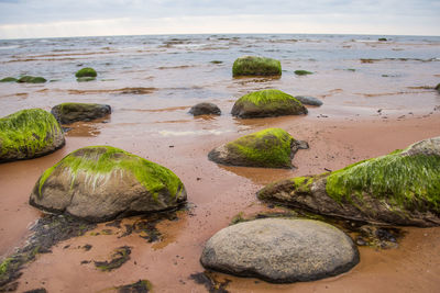 Scenic view of rocks on beach against sky