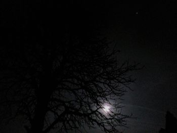 Low angle view of bare trees against sky