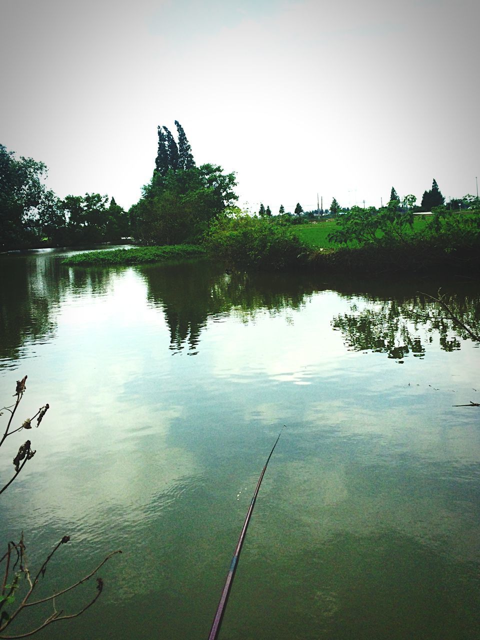 water, reflection, lake, tranquility, tranquil scene, tree, nature, clear sky, scenics, beauty in nature, waterfront, standing water, sky, idyllic, river, calm, outdoors, day, growth, non-urban scene