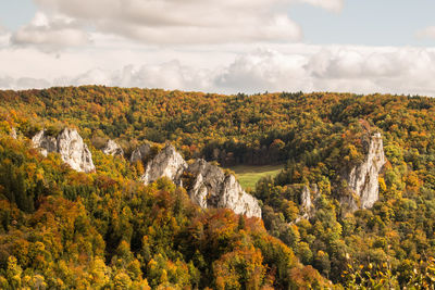 Scenic view of green landscape against sky