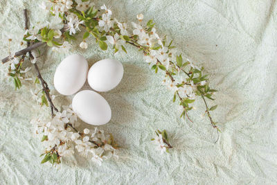 Three white eggs on light green fabric surrounded by branch of bird cherry. flat lay.