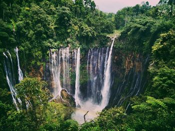 Scenic view of waterfall in forest