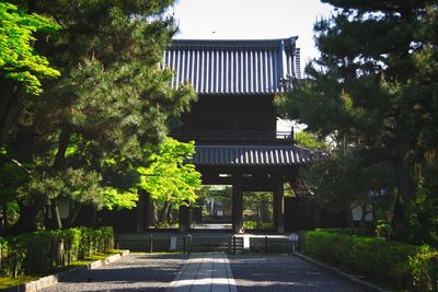 Footpath amidst trees and building