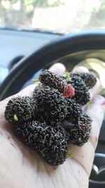 Close-up of hand holding berries