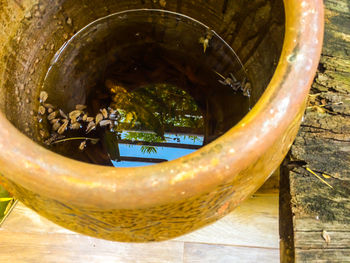 Close-up of water bowl