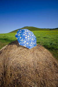 Umbrella on field against clear blue sky