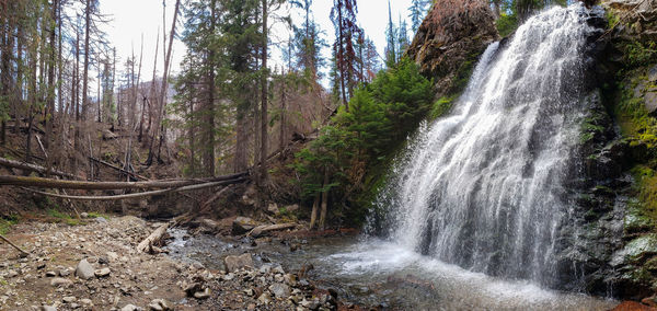 Scenic view of waterfall in forest