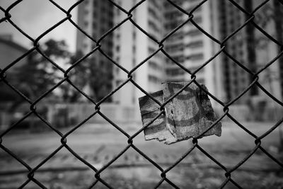 Close-up of chainlink fence during winter