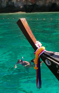 High angle view of seagull swimming in sea