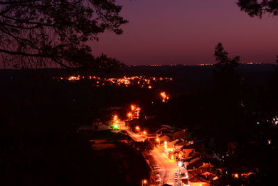 Illuminated trees at night