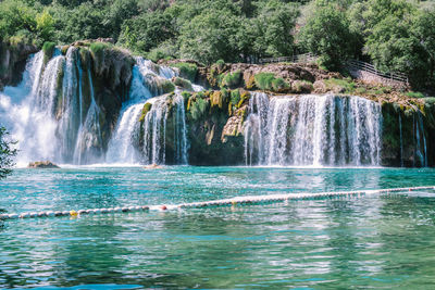 Scenic view of waterfall in forest