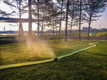 Scenic view of park on field