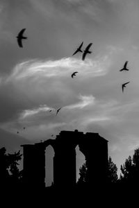 Low angle view of bird flying in sky