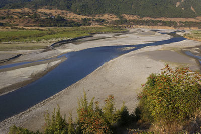 High angle view of river amidst trees