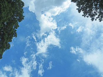 Low angle view of trees against blue sky