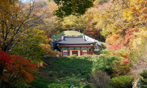 Gazebo amidst trees and building in forest during autumn