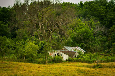 Scenic view of trees and houses on field