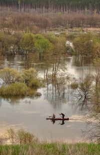 Spring scene with river in high water, trees standing in the water, people kayaking in the distance.