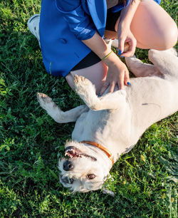 Low section of young woman with dog kneeling on grassy field