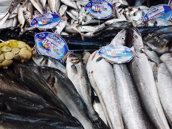 View of fish for sale at market stall