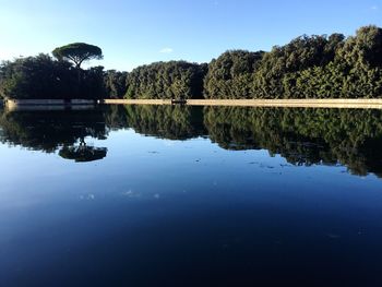 Reflection of trees in water against clear blue sky