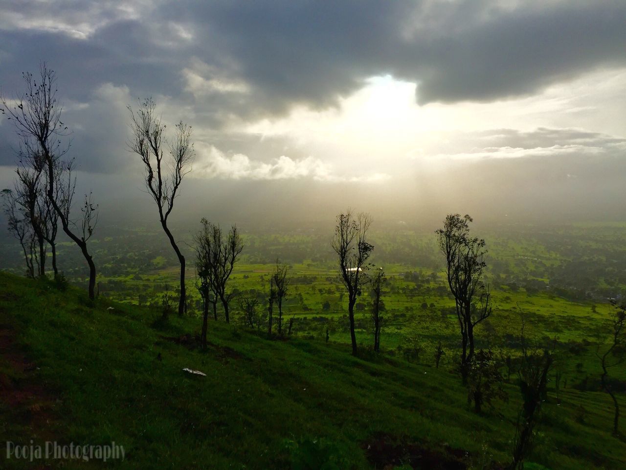 nature, cloud - sky, tree, tranquility, landscape, sky, tranquil scene, no people, beauty in nature, sunlight, idyllic, scenics, grass, growth, outdoors, rural scene, environment, dramatic sky, green color, sunset, day, lush - description