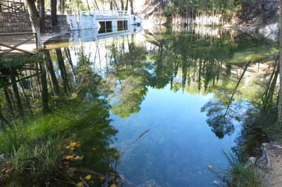 Reflection of trees in lake