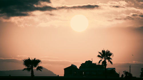 Silhouette palm trees against sky during sunset