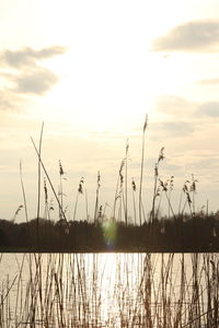 Scenic view of lake against sky during sunset