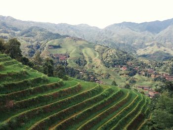 Scenic view of rural landscape