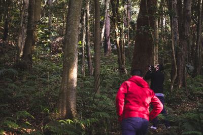 People standing in forest