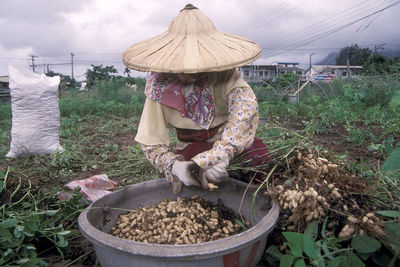 Rear view of woman working in farm