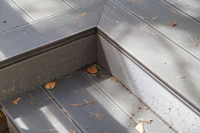 High angle view of leaves in old building