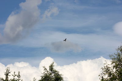 Low angle view of trees against cloudy sky